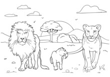 Realistic Lion Coloring Pages.