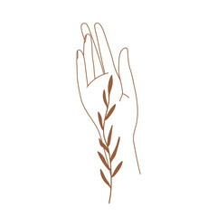 Wall Mural - Minimal female hand in trendy linear style. Women's hand with branch. Vector linear boho icon for handmade products, jewelry, cosmetics, wedding concept illustrations etc. Branding.