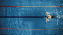 Aerial Top View Male Swimmer Swimming In Swimming Pool. Professional Determined Athlete Training For The Championship, Using Butterfly Technique. Top View Shot