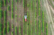 Photo aérienne d'un tracteur qui réalise le travail des sols dans les vigne.
Vue aérienne par drone d'un tracteur qui travail le sol dans un domaine viticole