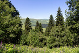 Fototapeta Na ścianę - Panoramic views from mountain routes on a sunny summer day, walking and communicating with nature.