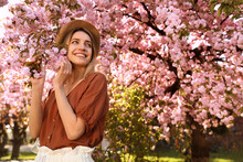 Young Woman Wearing Stylish Outfit Near Blossoming Sakura In Park. Fashionable Spring Look