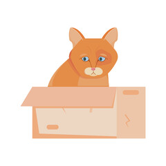 Sticker - Homeless Cat Illustration