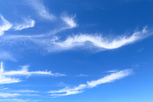 There Are Many Cirrus Uncinus Clouds In The Blue Sky