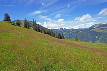 Diemtigtaltal, Wiriehorn, Alpen, Berner Oberland, Schweiz	