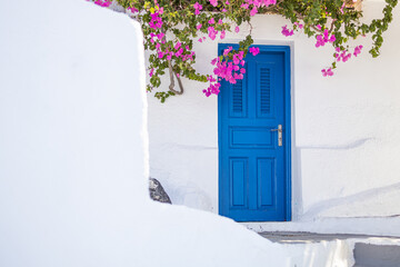 white cycladic architecture with blue door and pink bougainvillea flowers on santorini island, greec