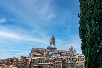 Wall Mural - Panoramic photo of Siena, in Tuscany