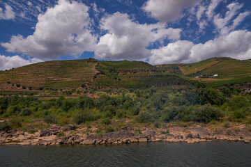 Wall Mural - View from the Cruise Boat in Douro River Valley - Port Wine Region with Farms Terraces Carved in Mountains, Portugal