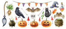 Halloween Symbol Single Element Set. Hand Drawn Autumn Festive Halloween Collection. Watercolor Toad, Garland Illustration. Scary Jack Head Pumpkin, Black Cat, Bat, Ghost, Broom White Background