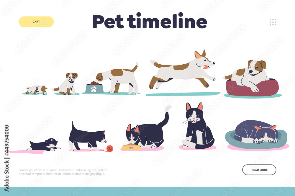 Pet timeline concept of landing page with cat and dog growth stages ...