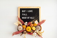 Flat Lay With Felt Letter Board And Text But I Love Fall Most Of All. Autumn Table Decoration.  Floral Interior Decor For Fall Holidays With Handmade Pumpkins. Flatlay, Top View