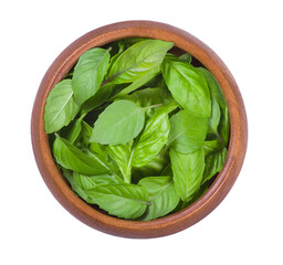 Wall Mural - Fresh basil leaves in a wooden bowl isolated on white background. Top view.
