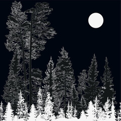 Poster - light grey fir forest isolated on black