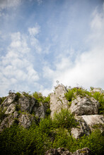 Stunning View Cliffs Ovegrown With Dense Green Vegetation | Photo From Below Beautiful Landscape With Tall White Stone Cliff Covered With Plants And Blue Sky With Clouds 