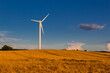Erneuerbare Windenergie an einem Sommertag