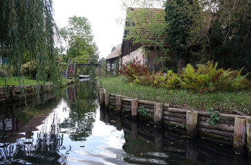 Wall Mural - Spreewald bei Lehde