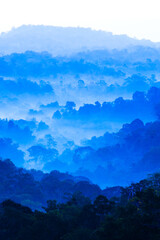 Poster - Scenery of blue mountains in the morning mist.