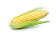 © NIKCOA - fresh corn isolated on white