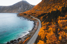 Autumn Landscape In Norway