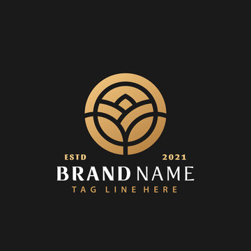 Gold Nature Flower Logo Design, Abstract Logos Designs Concept for Template