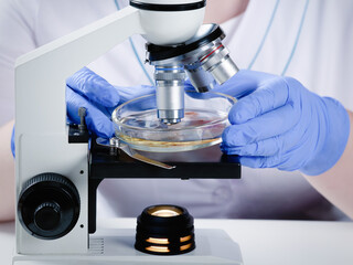 Closeup of a scientist or laboratory assistant doing analysis