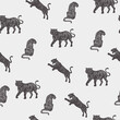 Seamless pattern with tiger silhouette. Editable Vector Illustration.