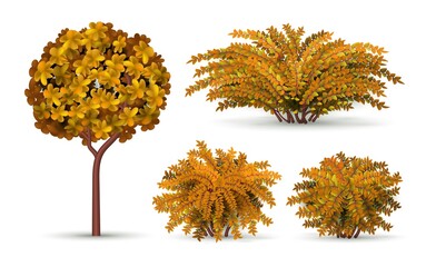 Sticker - Realistic tree and bush. Autumn shrub, seasonal hedge elements. Isolated garden plants and topiary for landscape vector design