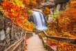 Looking Glass Falls in Pisgah National Forest, North Carolina, USA with early autumn foliage.