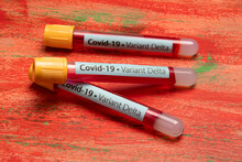 Vacuum Tube For Blood Collection, Labeled Covid-19 - Variant Delta