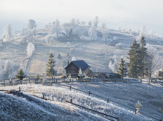 Winter coming. Picturesque foggy and moody morning scene in late autumn mountain countryside with hoarfrost on grasses, trees, slopes. Ukraine, Carpathian Mountains.