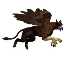 3d-illustration Of An Isolated Griffin Fantasy Creature