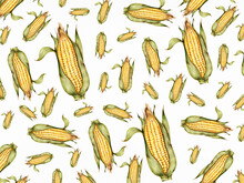 Hand Drawn Corn Patterned Background Illustration