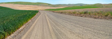Panorama Of A Gravel Road Through Farm Fields In The Palouse Region Of Southeastern Washington, USA