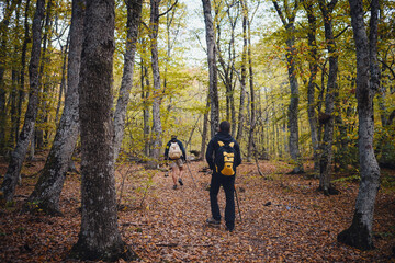 Two man friends with backpack hiking together in autumn nature. Male backpacker relax and enjoy walking on mountain trail. Healthy outdoor lifestyle holiday vacation concept.