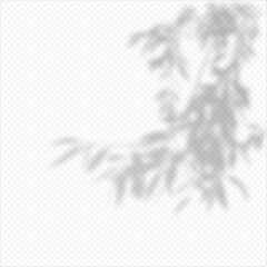 Realistic Vector transparent overlay blured shadow of branch leaves.