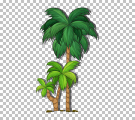 Poster - Palm tree on transparent background