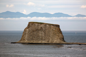 Wall Mural - rocks on the beach