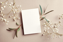 Wedding Invitation Card Mockup With Natural Eucalyptus And White Gypsophila Twigs. Blank Card Mockup On Beige Background.