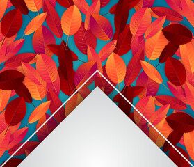 Wall Mural - Realistic autumn red and orange leaves over blue background. Fall season banner design with thin typography text. Vector illustration.