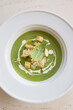 Green vegetarian cream soup served in white plate