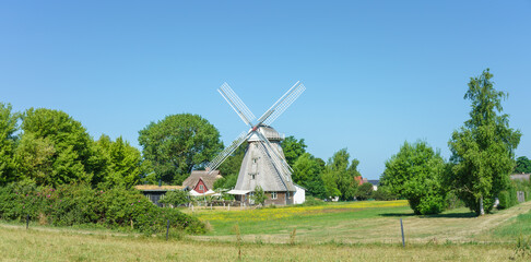 Wall Mural - Alte historische Windmühle in Ahrenshoop