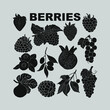 Berry set for use in product logos. Vector.