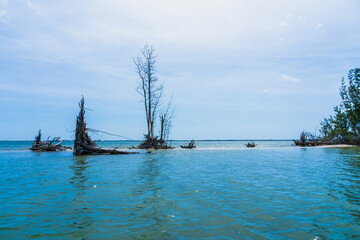 Wall Mural - Lost uninhabited island in the Indian River is washed by the Atlantic Ocean in Florida. A paradise place to stop for a relaxing boat trip while fishing