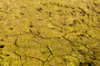 dry ground, drought, cracked earth