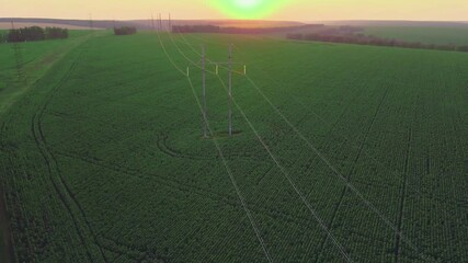 Wall Mural - Transmission tower at sunset. Electric transmission station with metal poles and electrical wires. Aerial view.