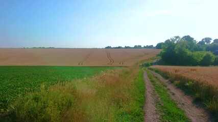 Poster - The soybean and wheat fields, Ukraine