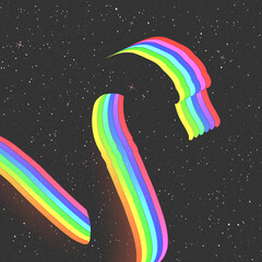 Canvas Print - Swan outline. Abstract bird silhouette in space. Rainbow in starry sky