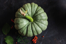 Autumn Composition With Green Pumpkin On A Black Background. Top View, Natural Light, Selective Focus