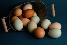 Farm Fresh Eggs Closeup In Eggshell.