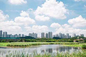 Sticker - Hwarang Recreation Area park and modern apartment buildings at summer in Ansan, Korea